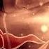 The Uchiha Brothers Just A Dream AMV