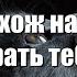 Ты похож на кота Zhanulka Ты похож на кота хочу забрать тебя домой Текст TikTok Remix
