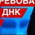 Война зеков Путьдомойки Расчлененка Светская шушера Москвы Наконец запрет на джинсы Ножки Буша