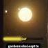 Thrya S Daring Escape From Gaddafi S Harem Thriya GaddafisHarem Libya SexualAbuse HumanRights