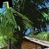 JAMAICA ROCK RIDDIM MIX ZEEJAY DYCE CECILE CHRIS MARTIN BUSY SIGNAL ETC