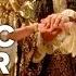 Restoration 1995 Official Trailer 1 Robert Downey Jr Movie