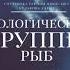 Экологические группы рыб Естествознание