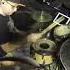 Drum Fill Of The Day 008 Drumfill Drumlesson сбивка проходка Drumbreack
