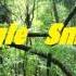 Jack Ü VS Mike Cervello Cesqeaux Jungle Smack Alex Sinesi Mashup Played By Jack Ü Skrillex Diplo
