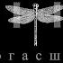 E11ipse Skyfvll погасший мотылёк