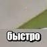 Подарочек в тюрьму