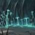 Shadow Fight 2 SHADOW VS FUNGUS ONLINE