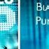 Of Mice Men Blame It Punk Goes Pop 3
