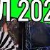 МОЯ КОЛЛЕКЦИЯ КУКОЛ 2025 ЛЕНА АНГЕЛВИЛЬ