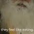 Empty Stomach But You Feel Energetic Sadhguru Food Hunger Hungry Stomach
