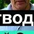 Пасека 74 Отводки с Роевой Энергией Пчеловодство для начинающих