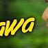 Kyon Hawa Song Veer Zaara Shah RukhKhan Preity Zinta Yash Chopra Lata Mangeshkar Sonu Nigam