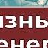 Как живут люди на других планетах Грани Агни Йоги