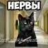 Ну Что Тебе Ещё Не Понятно мемныекоты кот коты мем мемы рекомендации рек