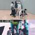 ENG CC Why SEVENTEEN Practices Choreography Every Day Even In Their 11th Year