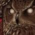Kvelertak Endling LYRIC VIDEO