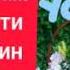 сухроби саидзод суруди шикаста ахду паймонам кучо рафти гариби 2021 ва 2022