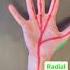 A Trapped Ulnar Nerve Creates Pinky And Ring Finger Symptoms