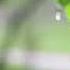 Omar Hisham Alarabi Quran With Rain