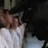 Forrest Gump 5 10 Best Movie Quote Yes Drill Sergeant 1994
