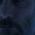 настоящее преступление True Crimes ДЖИМ КЕРРИ Jim Carrey дублированный трейлер