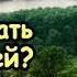 Как узнать что я гей