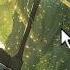 At The Druid Grove 1 Hour Of Comforting DnD Music