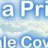 Male Cover To Be A Princess Barbie The Princess And The Pauper