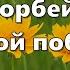 Гимны Надежды 176 Путь скорбей лучше лёгкой победы минус
