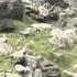 SARDA Wales On ITV News