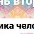 ИНТЕНСИВ РЕЙКИ школы SHE ENERGY День второй