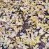 Жёлтые Опавшие Листья в Лесу Природа и Осень Yellow Leaves Nature Autumn Forest 4k Shorts