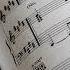 Classical Music Dvorak Serenade For Strings Op22 In E Major Larghetto NO ADS