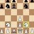 Пуля 2 0 конь верный спутник королевы Chess шахматы шахи Chesswoman пуля Bullet Checkmate