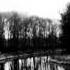 The Moldau Vitava By Bedřich Smetana Symphonic Poem From My Country