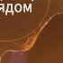 Владимир Я рядом Bonus Track Mp3