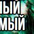 Обзор Outlast Sumochkin Production АРХИВ Реакция