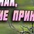 Это самый верный Признак что покаяние принято Никон Воробьев