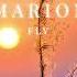 MARION Fly ChillStep
