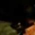 Dog S Reaction To Cyriak S Meow Mix Video