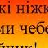 Українська народна пісня Ой на горі жито сидить зайчик Мінус