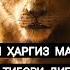 Рӯз бошу Мард бош