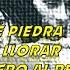 Los Chicanos Los Solitarios Los Baby S Los Freddy S Los Ángeles Negros