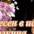Сборник песен в исполнении Андрея Иголкина Часть 2