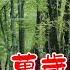友谊地久天长 KTV 歌詞 高音質