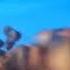 REUPLOAD Scrat Scream V2