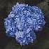 Thaisub Lyrics You Re Sorry Victor Lundberg Astyn Turr แปลเพลง