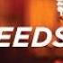 1 Hour Of The Best Most Heartwarming Nasheeds Ultimate Nasheed Collection