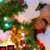 Mariah Carey All I Want For Christmas Professional Whistling